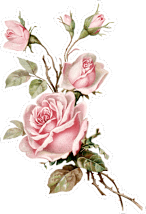 Vintage Victoriana Rose Illustration Design Magnet