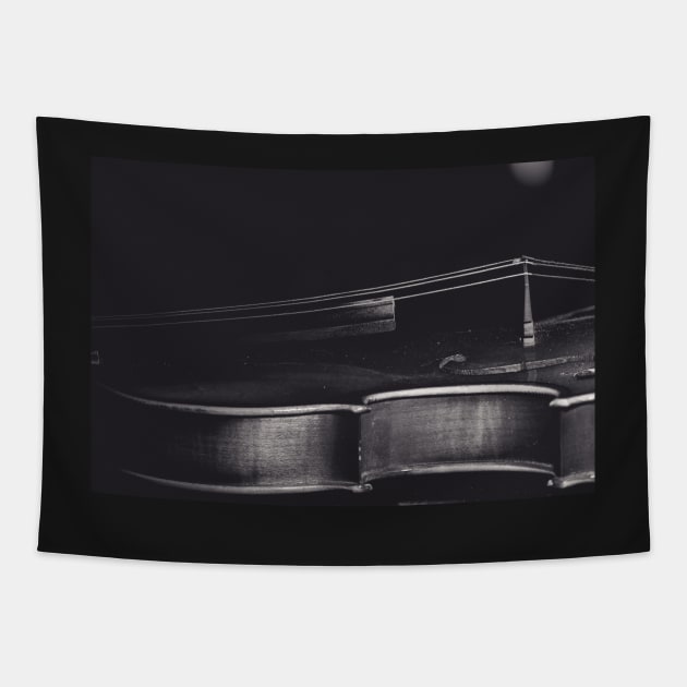 Fiddle on a Shelf Tapestry by gdb2