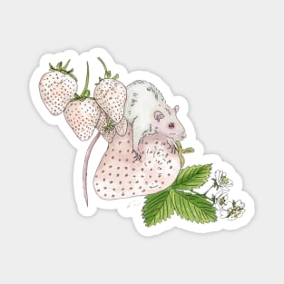 Albino Rats and Strawberries Magnet