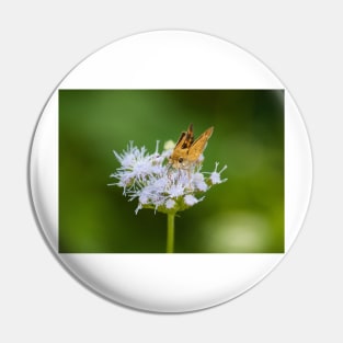 Tiny Pollinator Pin