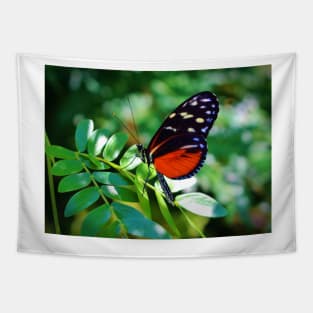 Tiger Longwing Butterfly Tapestry