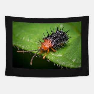 Unique and organic photo of a spiny leaf beetle Tapestry