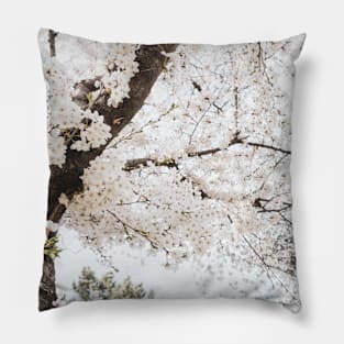 Cherry Blossoms Pillow