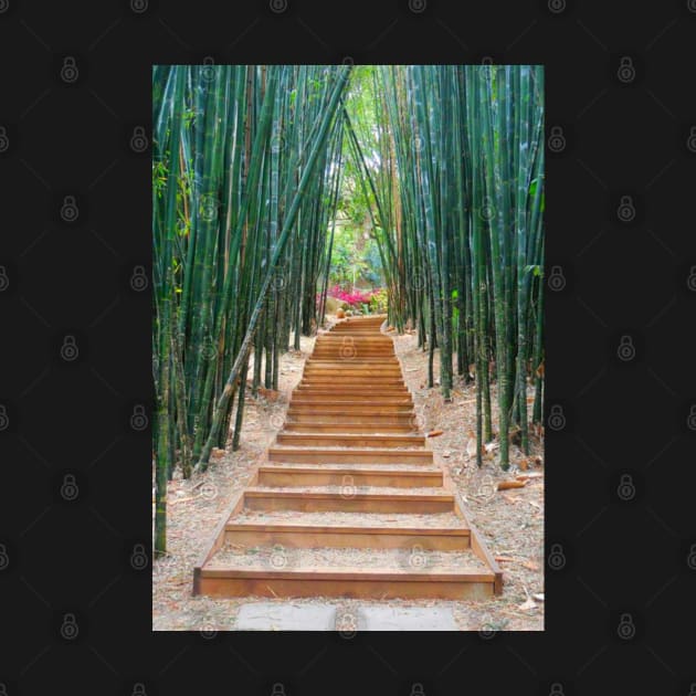 Bamboo Stairway to Enlightenment by Felicity-K