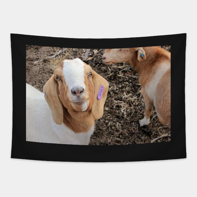 Daphne The Goat Tapestry by ElisabethFriday