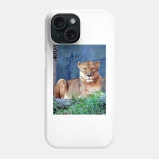 Lioness Phone Case