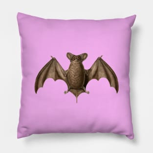 Austin Bat Pillow