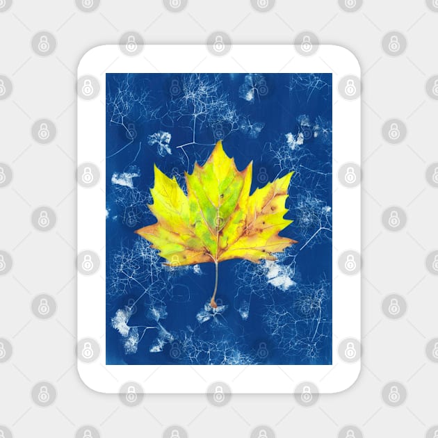 Yellow watercolour autumn leaf on a blue cyanotype background Magnet by ZoyaArt