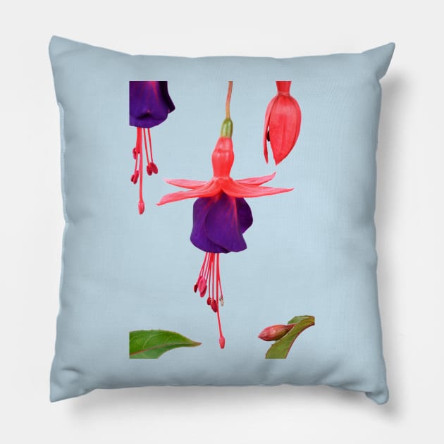 Fuchsia  FuchsiaBerry Pillow by chrisburrows