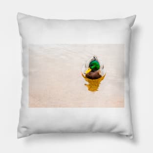 Colorful Mallard Duck Swimming on Skaha Lake Pillow