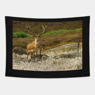 stag in cotton grass peak district Tapestry