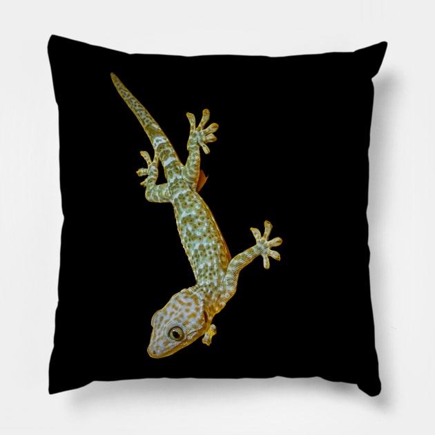 Tokay Gecko Pillow by Upbeat Traveler