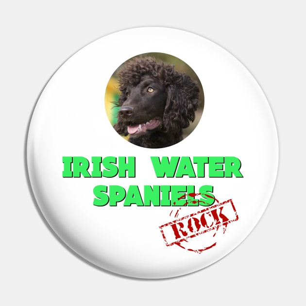 Irish Water Spaniels Rock! Pin by Naves