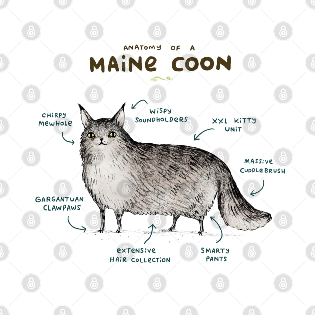 Anatomy of a Maine Coon by Sophie Corrigan