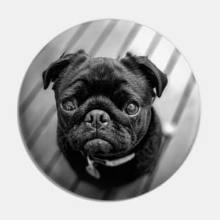 Little Black Pug Dog Pin