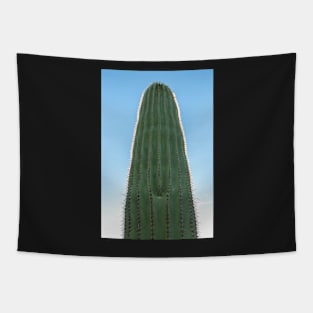 Saguaro Tapestry