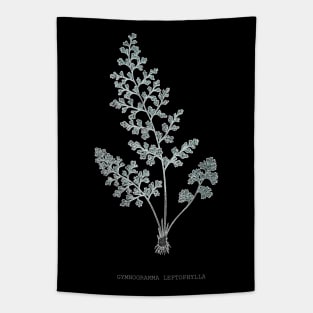 Fern - Gymnogramma Leptophylla - X-ray effect - 04 Tapestry