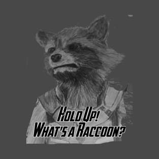 What's a Raccoon? T-Shirt