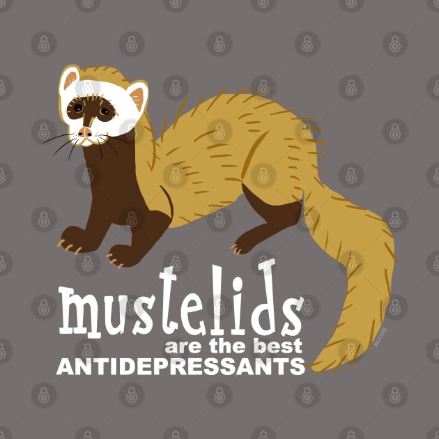 Mustelids are the best antidepressants #8 by belettelepink