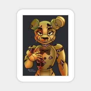 Spring Trap Magnet