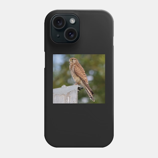 kestrel Phone Case by Simon-dell