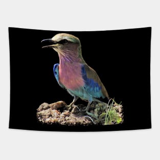 Roller - Bird in Africa Tapestry