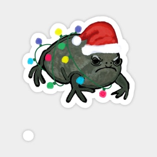 Black Desert Rain Frog Santa Hat Christmas Tree Lights Magnet