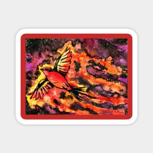 Vermillion Flycatcher Firecatcher Magnet