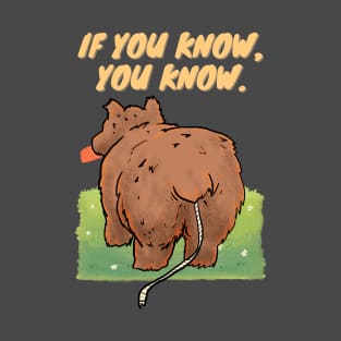 you dont wanna know T-Shirt