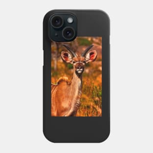 Young Kruger Kudu Phone Case