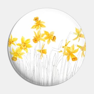 yellow daffodils field watercolor and pencil Pin