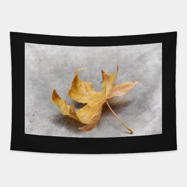 Yellow Maple Leaf Tapestry by mariola5