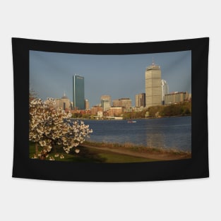 Boston Charles River on a Spring day Tapestry