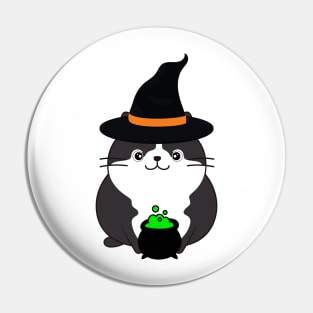 Funny fat cat is wearing a witch costume Pin