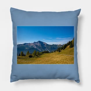 Monte Bivera in Friuli, North Italy Pillow