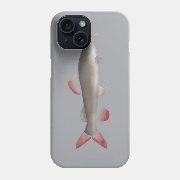 Asian Redtail Catfish Phone Case by FishFolkArt