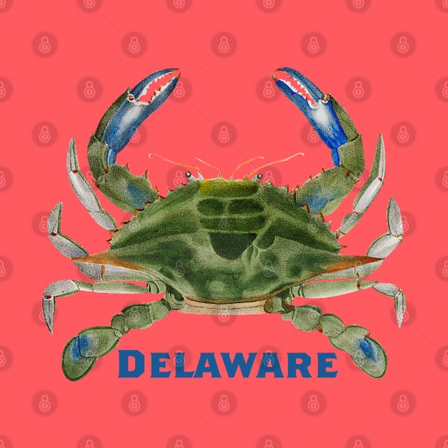 Delaware Crab by novabee