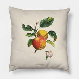 Apple Antique Botanical Illustration Pillow