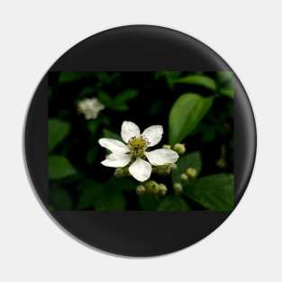 Blossoming white flower, close up photography Pin