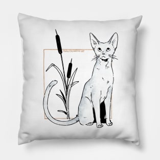 Abyssinian Pillow