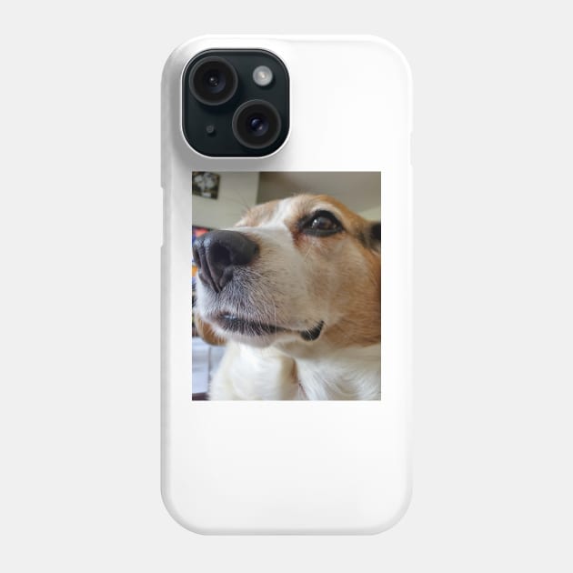 The Presidential Beagle Phone Case by Layla's Surgery Fundraiser