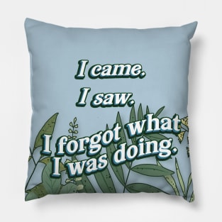 I came. I saw. I forgot. Pillow