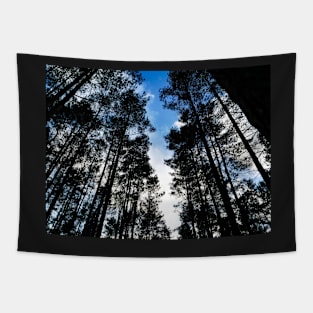 Blue skies and trees at Swinley Forest Tapestry