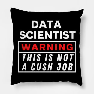 Data scientist Warning this is not a cush job Pillow