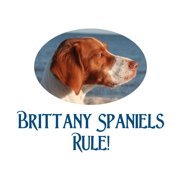 Brittany Spaniels Rulel by Naves