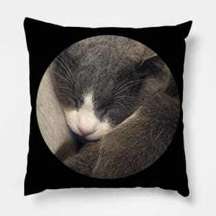 Sleeping Cat / Pictures of My Life Pillow