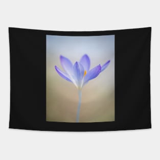 Purple Crocus with Soft Focus Tapestry