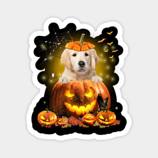 Golden Retriever Spooky Halloween Pumpkin Dog Head Magnet