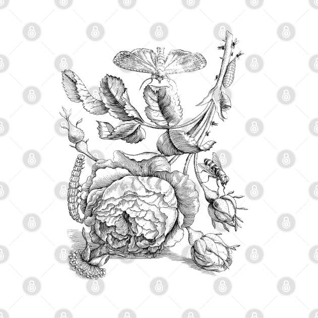 Rose Flowers with Moth Vintage Botanical Illustration by Biophilia