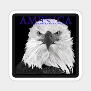 American Bald Eagle Magnet